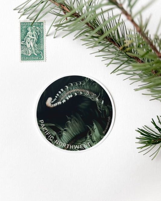 Sticker: PNW Awakening Ferns